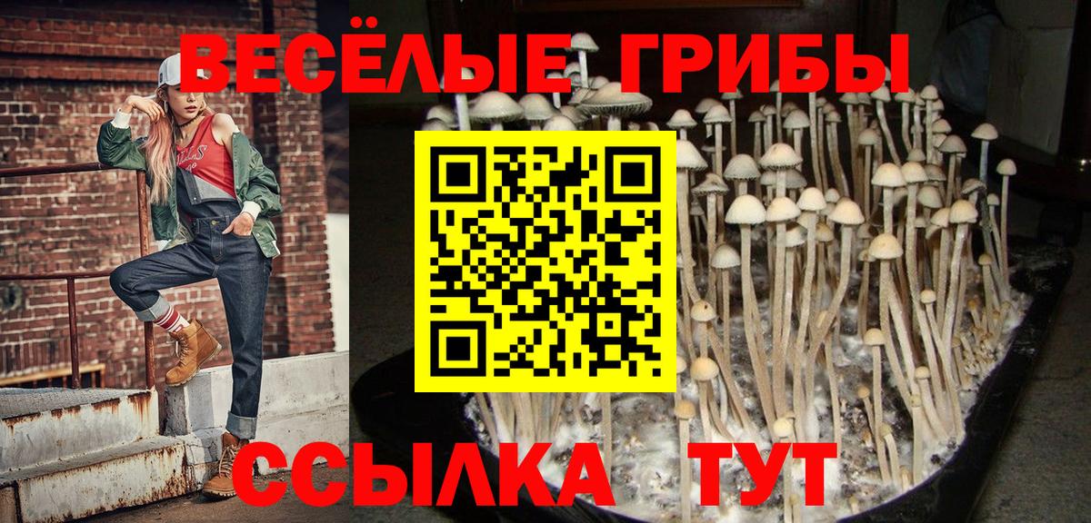 Удомля  Галлюциногенные грибы ЛСД  Вход с VPN  Псилоцибиновые грибы GOLDEN TEACHER 
